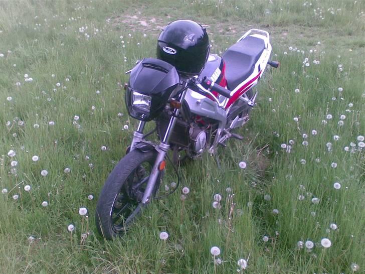 Yamaha tzr billede 1