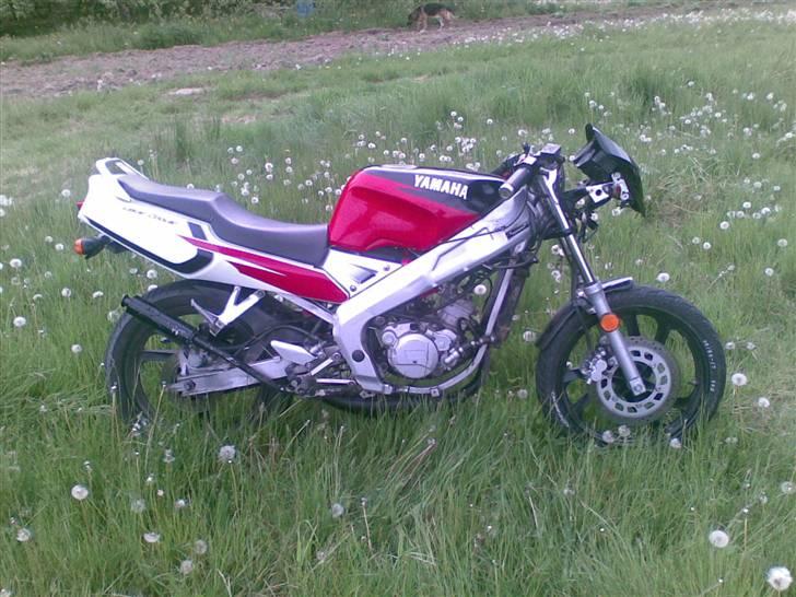 Yamaha tzr billede 4
