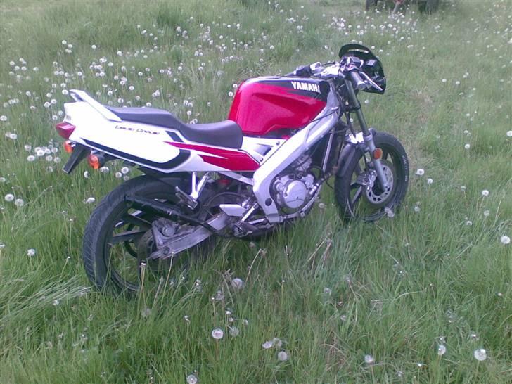 Yamaha tzr billede 5