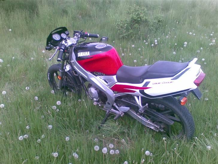 Yamaha tzr billede 6