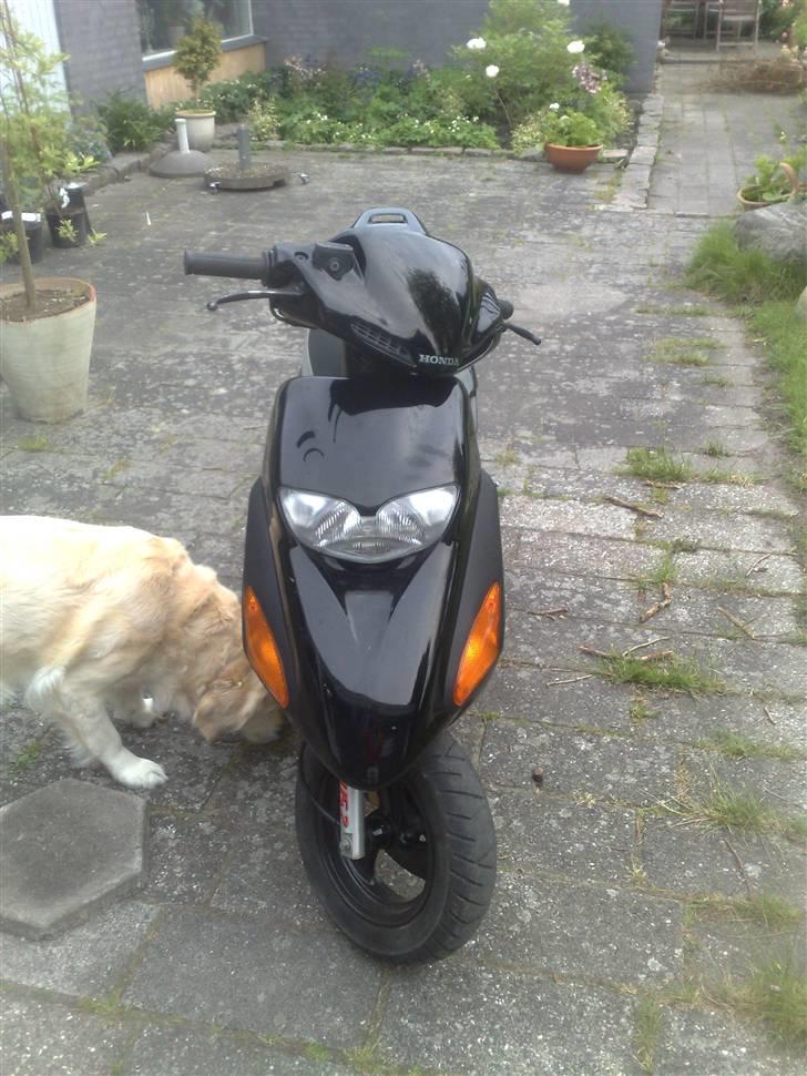 Honda Sfx Solgt . <3 Miss you billede 1