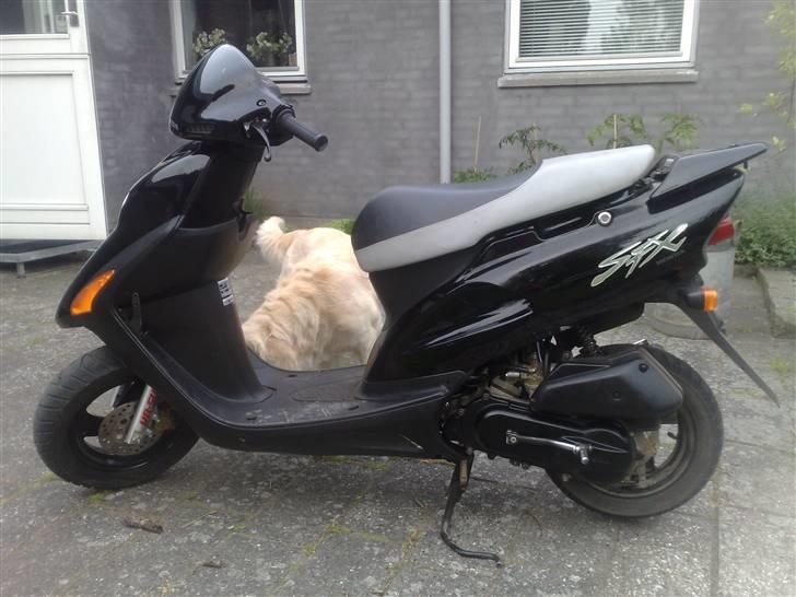 Honda Sfx Solgt . <3 Miss you billede 2