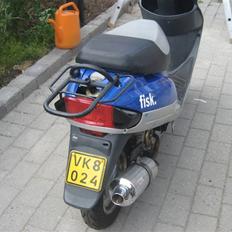 Texas flash (fisken) ''Solgt''