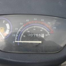 Texas flash (fisken) ''Solgt''