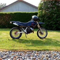 Suzuki smx