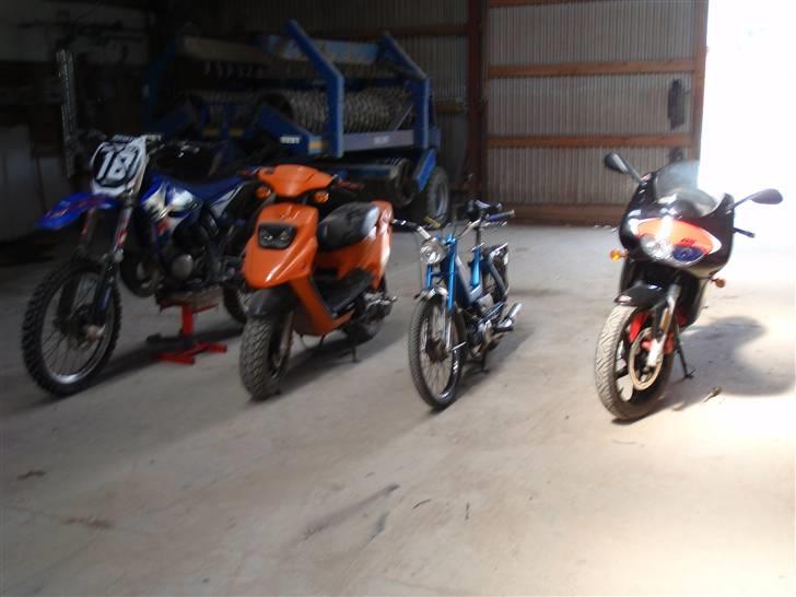 Puch maxi (Solgt) billede 6