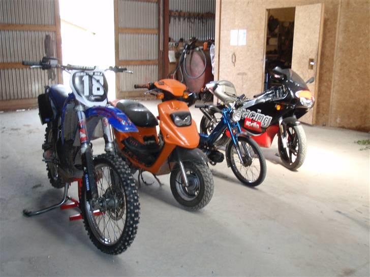 Puch maxi (Solgt) billede 7