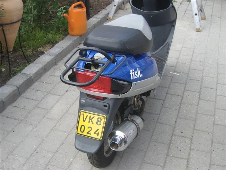 Texas flash (fisken) ''Solgt'' billede 2