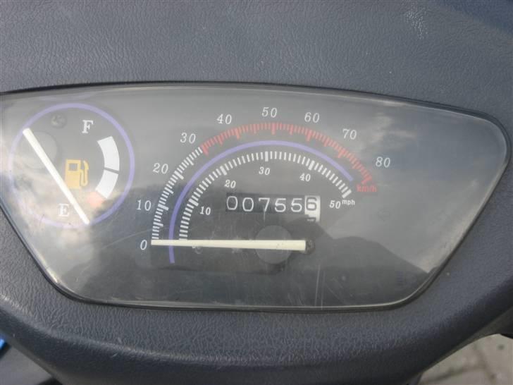 Texas flash (fisken) ''Solgt'' billede 3