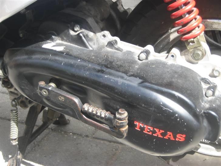 Texas flash (fisken) ''Solgt'' billede 6