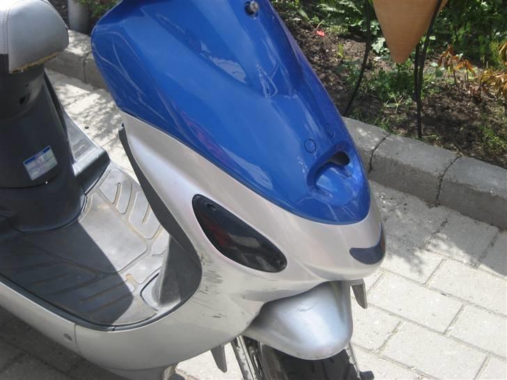 Texas flash (fisken) ''Solgt'' billede 7