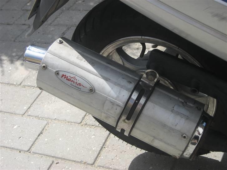 Texas flash (fisken) ''Solgt'' billede 8