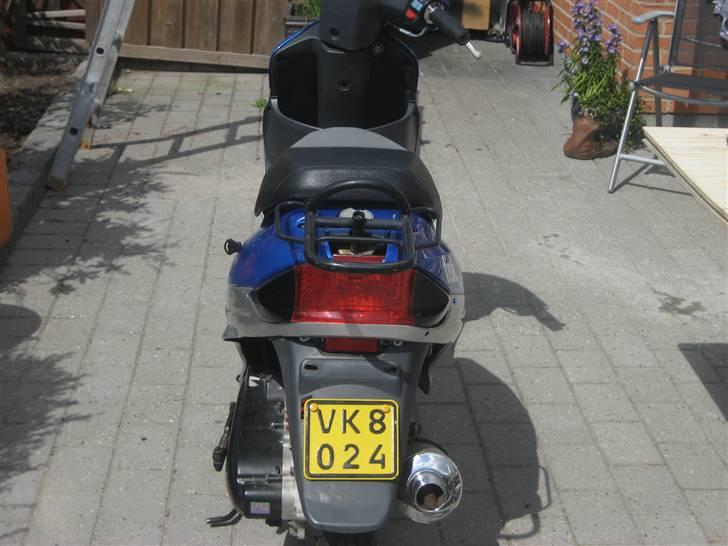 Texas flash (fisken) ''Solgt'' billede 9