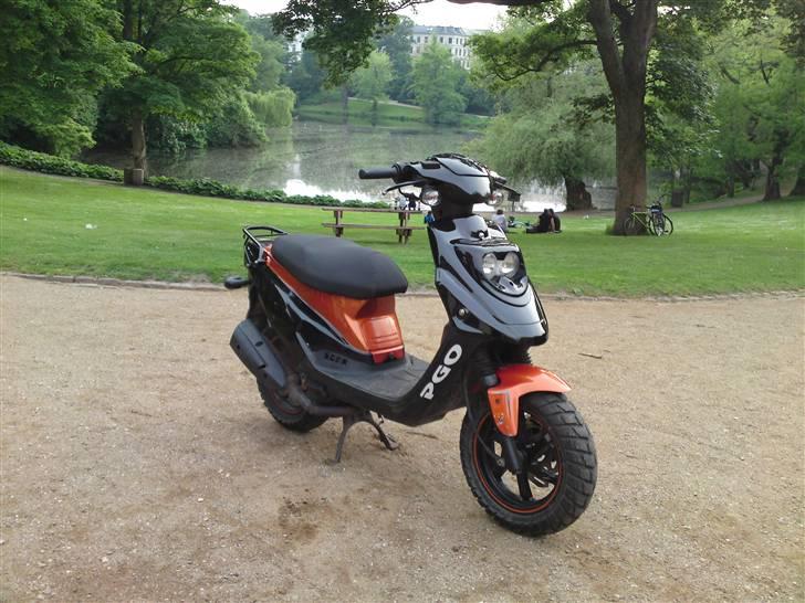 PGO Hot 50 sp billede 1