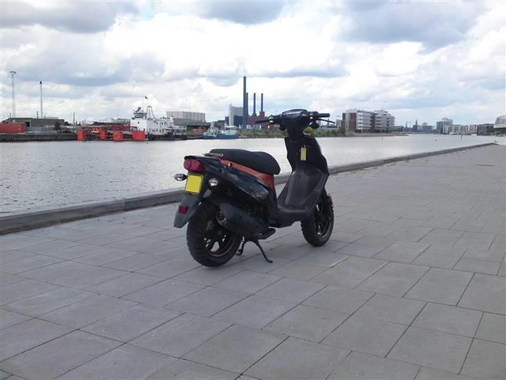 PGO Hot 50 sp billede 5