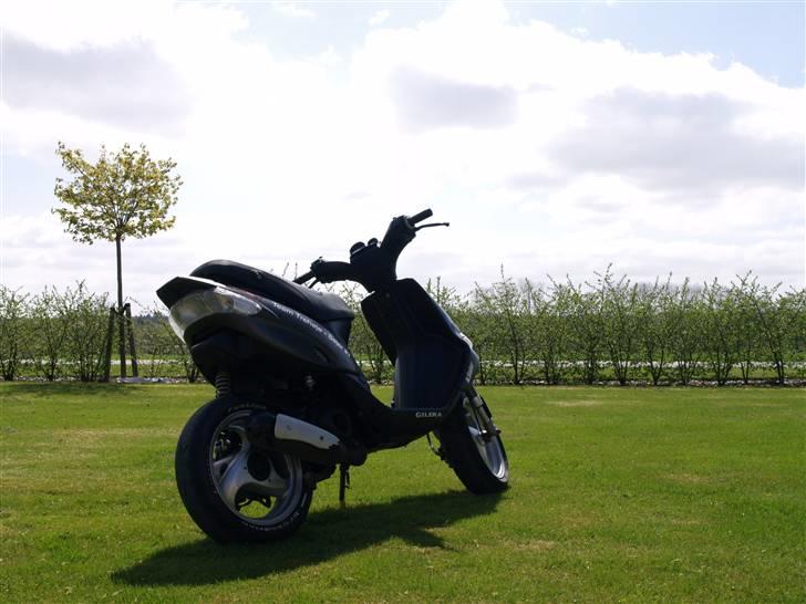 Gilera Stalker *Sport* billede 12