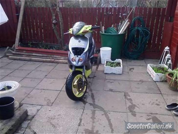 Piaggio nrg billede 1