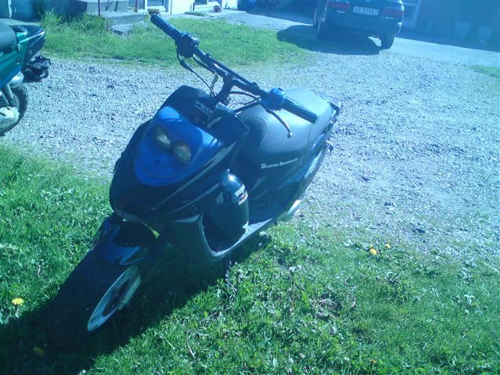 PGO hot 50       (HUGGET OP)  billede 1