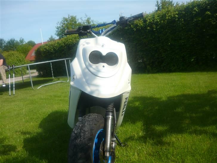 PGO Hot 50 (solgt) billede 3