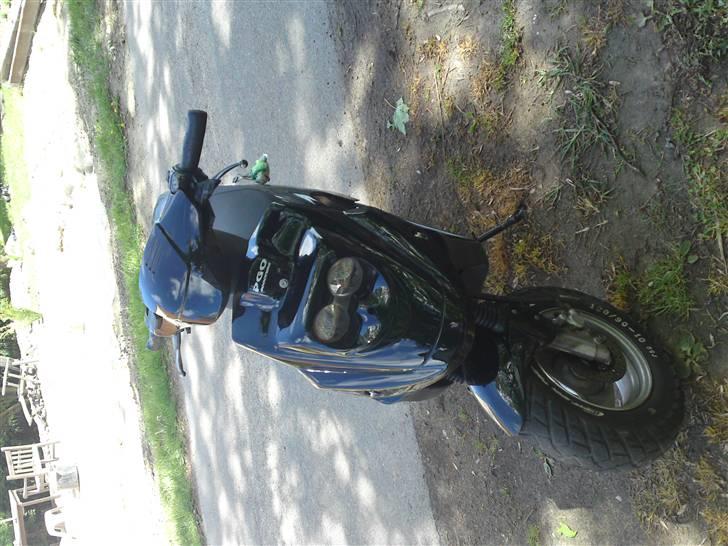 PGO hot 50 billede 6