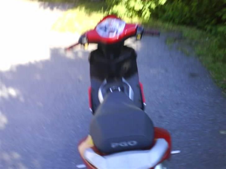 PGO G-max billede 10