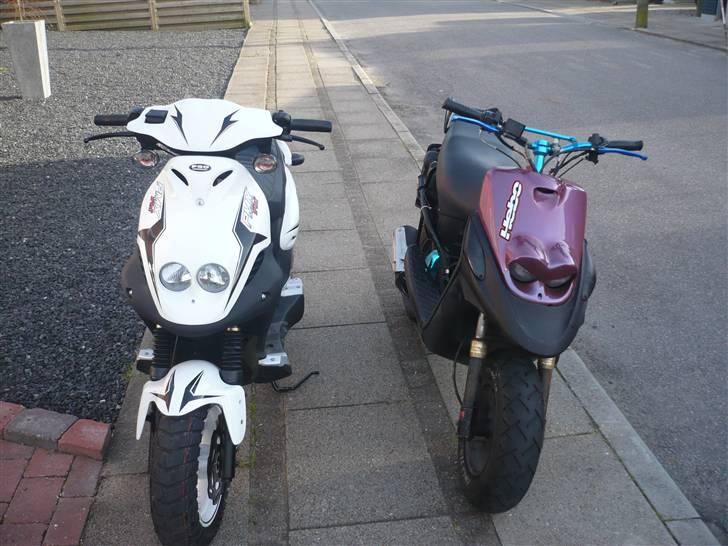 PGO Pmx Sport. Totalskadet. - Søren´s BWS :) billede 9