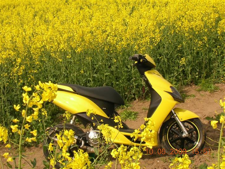 Yamaha jog r LC (rapsen)SOLGT billede 5