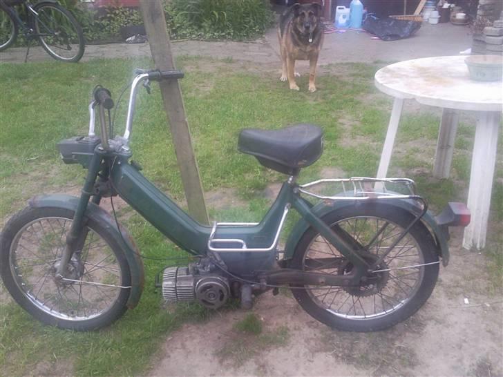 Puch Maxi k #SOLGT# billede 7