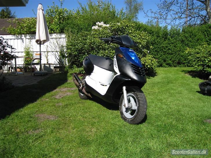 Aprilia sonic (STJÅLET) billede 1
