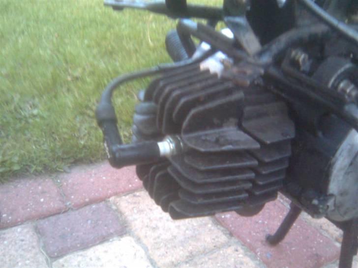 Yamaha Sting SOLGT billede 10