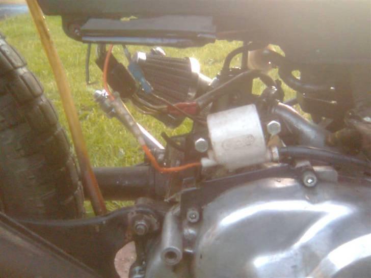 Yamaha Sting SOLGT billede 12