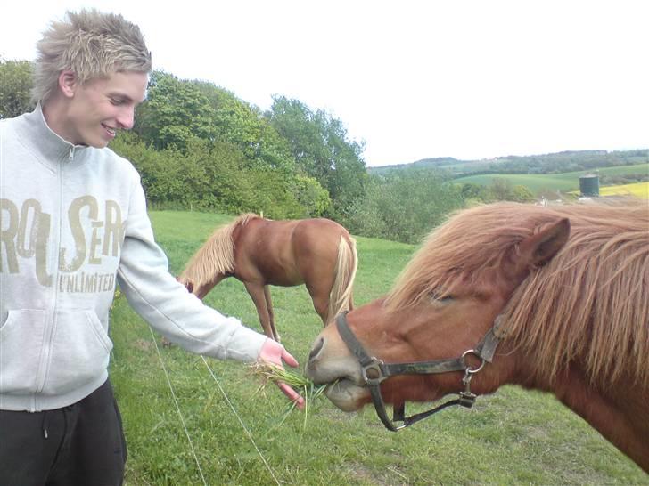 Aprilia sonic ac billede 15