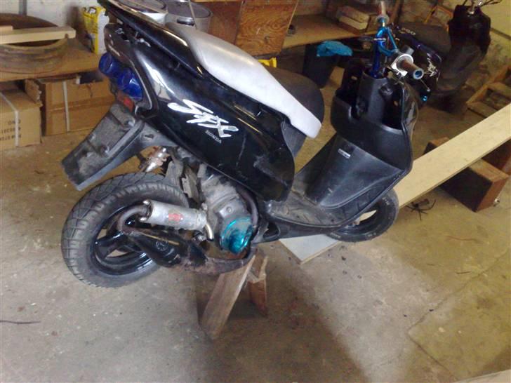 Honda SFX [SOLGT] billede 2