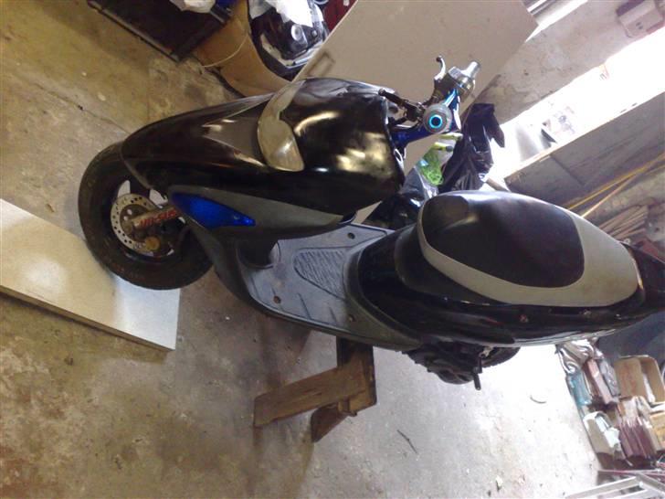 Honda SFX [SOLGT] billede 4