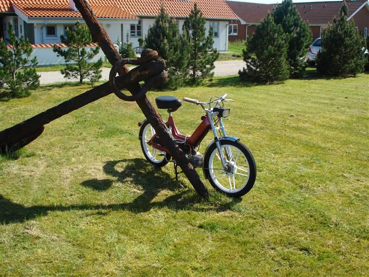 Puch maxi  billede 6