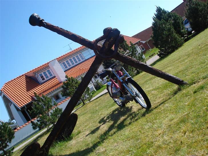 Puch maxi  billede 7