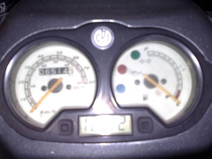 CPI hussar SOLGT billede 6