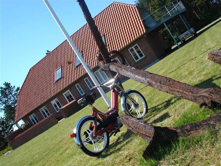 Puch maxi  billede 9