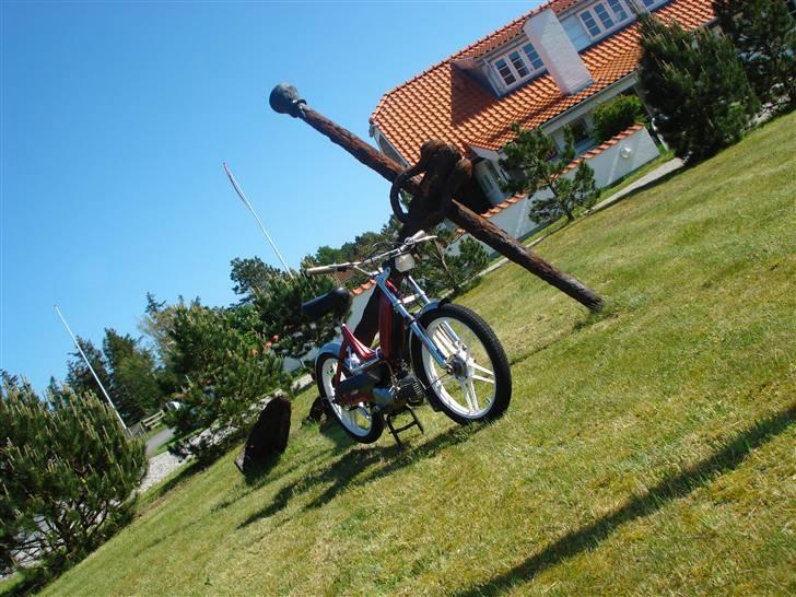 Puch maxi  billede 10