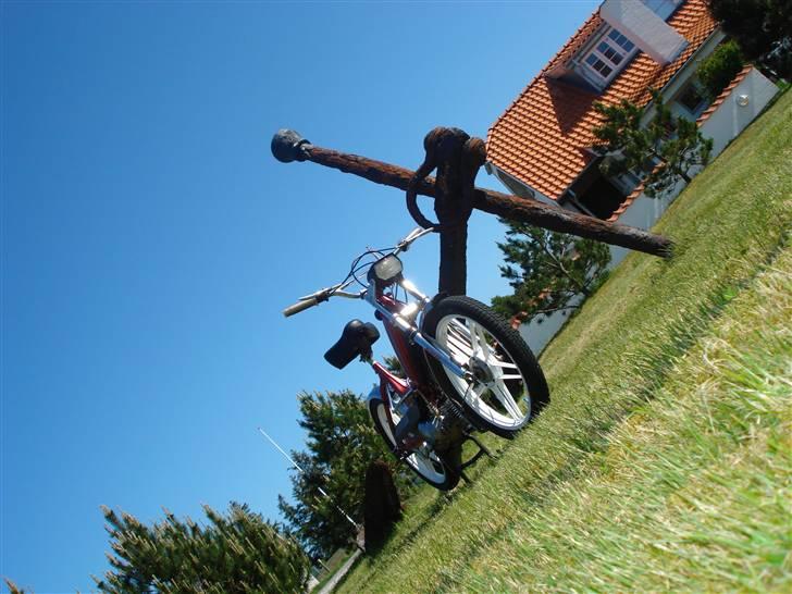 Puch maxi  billede 11