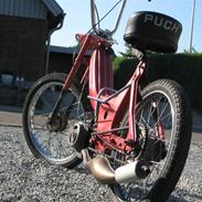 Puch Maxi K