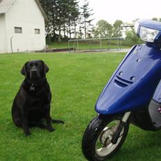 Yamaha jog as byttet (: