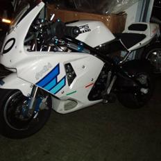 MiniBike Evil beast (solgt)