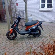 PGO Hot 50 (Sort/Rød)