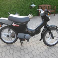 Honda Wallaroo »'Gaderaceren'
