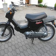 Honda Wallaroo »'Gaderaceren'
