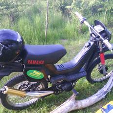 Yamaha Sting $SOLGT$