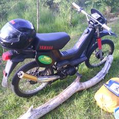 Yamaha Sting $SOLGT$