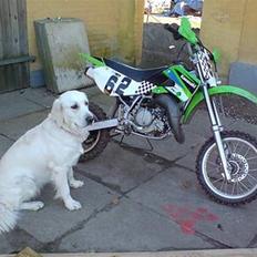Kawasaki kx 65 solgt