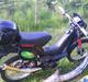 Yamaha Sting $SOLGT$